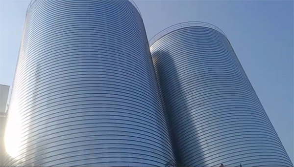 苍梧2座混凝土高架卷板仓